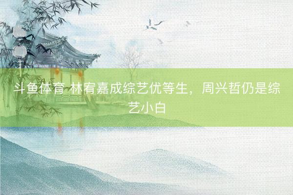 斗鱼体育 林宥嘉成综艺优等生，周兴哲仍是综艺小白
